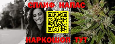 гидра Малгобек